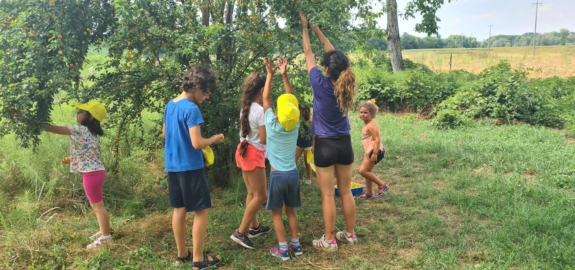 아파트 Agriturismo Il Campagnino 크레모나 이탈리아